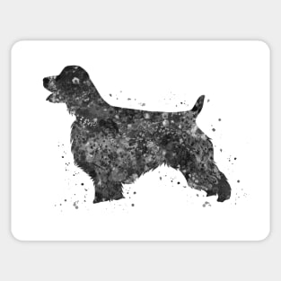 English springer spaniel dog black and white Sticker